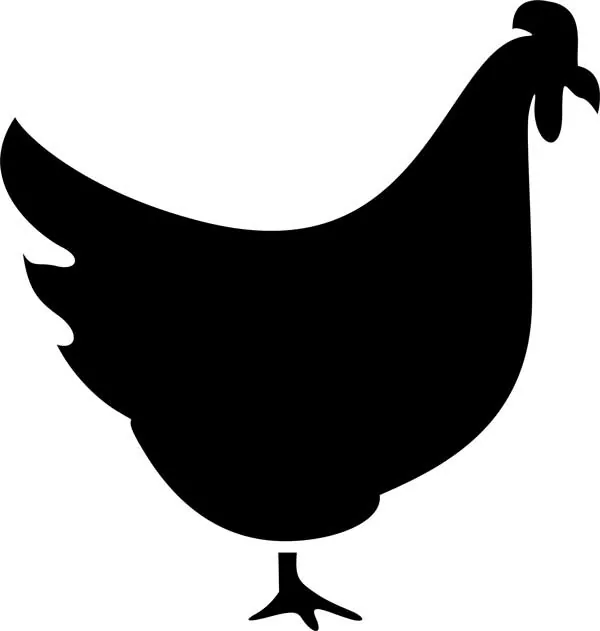 Geflügel (Huhn - Ente)