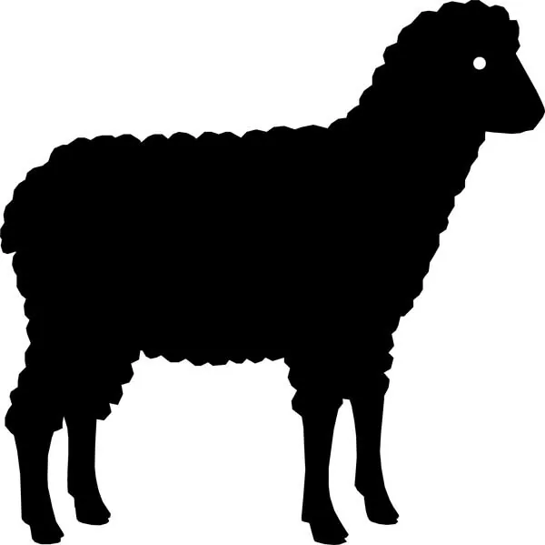 Lamm und Ziege