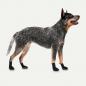 Preview: Goo-eez Dog Boots Lites 4 Per Pack Schwarz