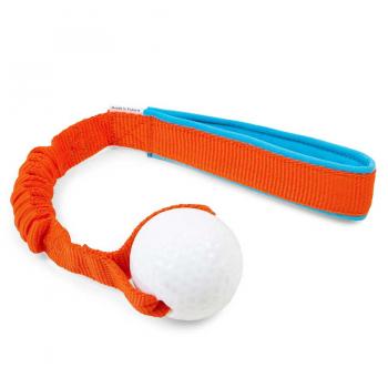 Bungee mit Planet Dog Golfball